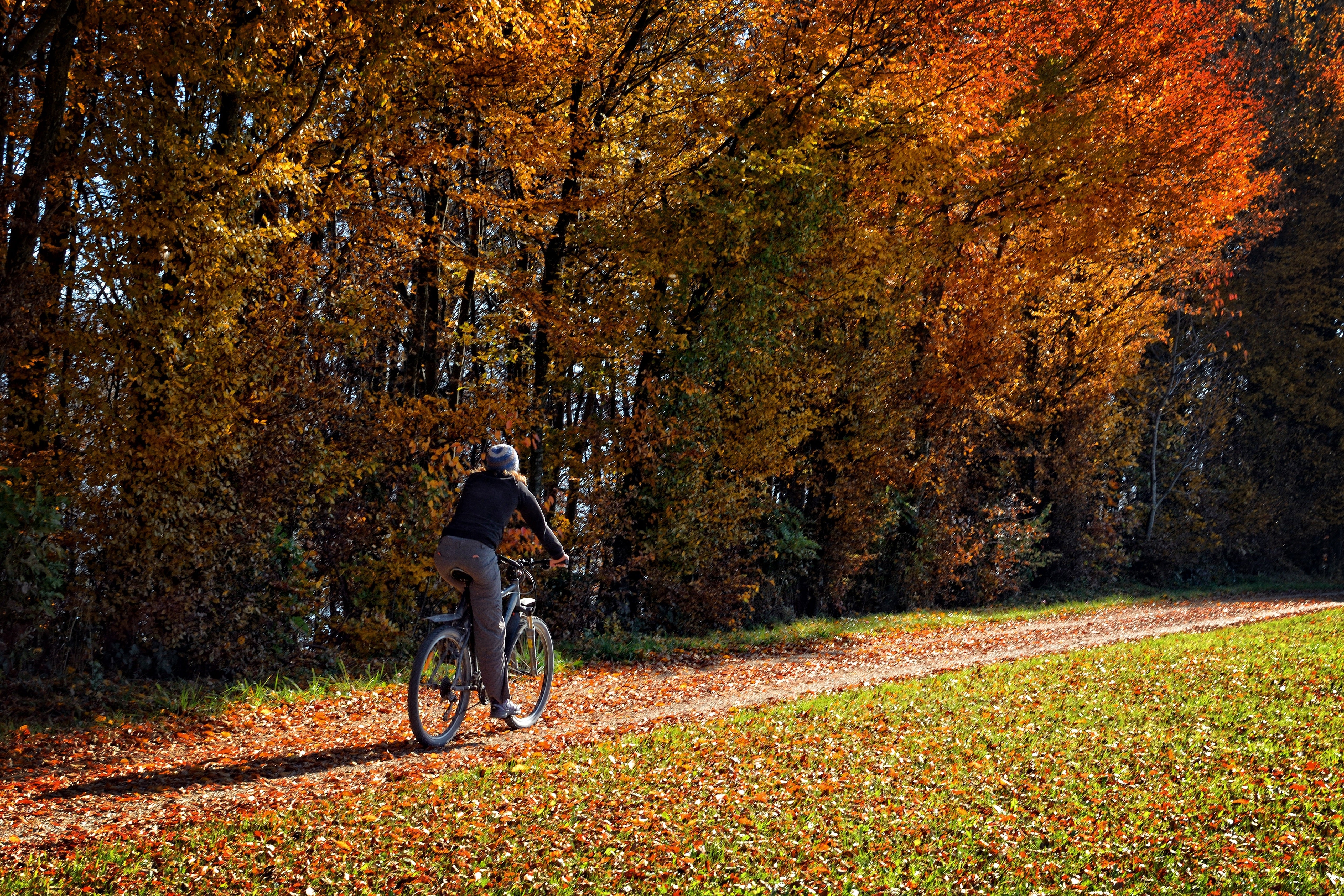 How to Stay Healthy Through the Holidays with Spinning® Ambassador Joao Ferreira