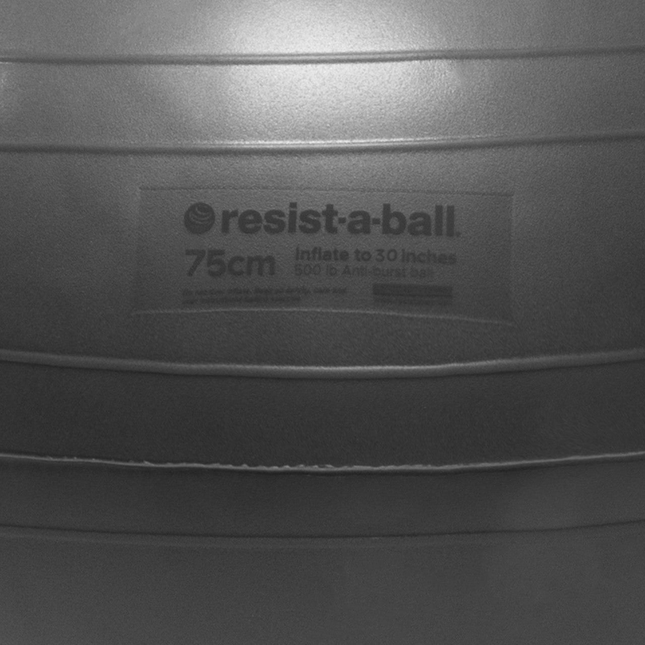 Resist-A-Ball® 75cm Silver - Spinning