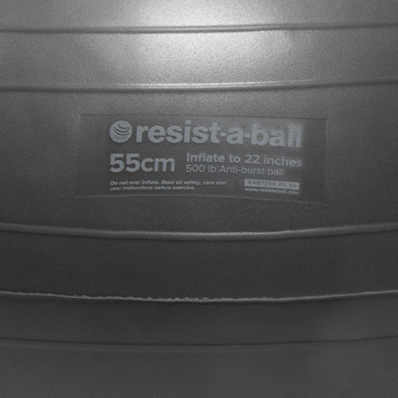 Resist-A-Ball® 55cm Silver - Spinning