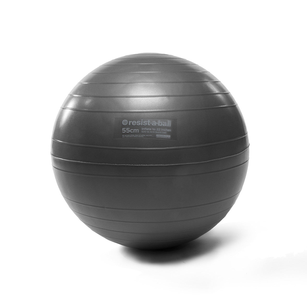 Resist-A-Ball® 55cm Silver - Spinning