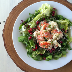 Lobster-Salad